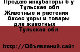 Продаю инкубаторы б/у - Тульская обл. Животные и растения » Аксесcуары и товары для животных   . Тульская обл.